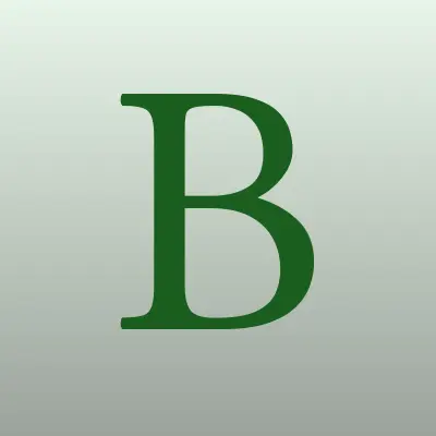 Башинформсвязь, лого-визитка